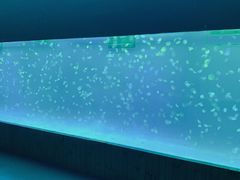 -多彩贵州城极地海洋世界