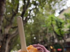 -Dip in Gelato(富民路店)