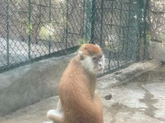 -泉州海丝野生动物世界