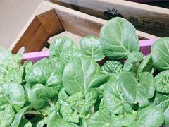 -番食园鲜食火锅(高新店)