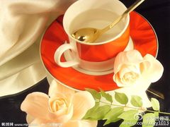 -治愈系甜品The Soothing Dessert(科海大楼店)