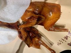 -鸽子侯·家宴·平价海鲜(市图书馆店)