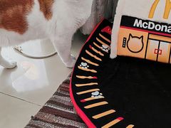 -麦当劳(燕顺路店)