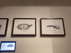 -1868 Café(上海自然博物馆店)