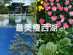 -大潮淮·淮扬菜(何园旗舰店)