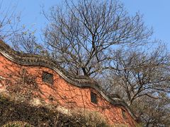 -句容茅山景区