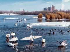 -博乐滨河公园