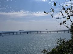 -星海湾跨海大桥
