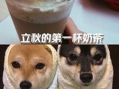 -奈雪的茶(湖滨银泰in77C区PRO店)