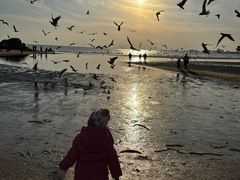 -老虎石海上公园