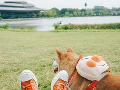 -杭州城北体育公园