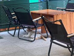 -稀物集咖啡(徽州大道店)