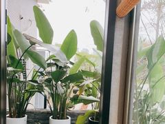 -恬阿姨庭院餐厅·生日宴