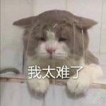 -麦当劳(龙阳路店)