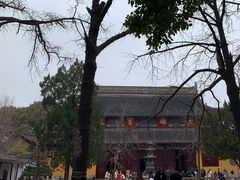 -西园戒幢律寺