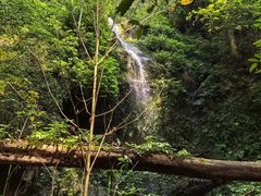 -莫里热带雨林景区