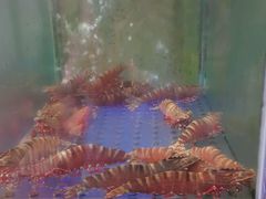 -旅南活海鲜-屏东(墾丁海鮮，海鮮餐廳，墾丁團體合菜，平價熱炒，墾丁熱炒店，活海鮮推薦，在地海鮮餐廳)