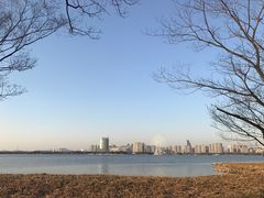 -长广溪湿地公园