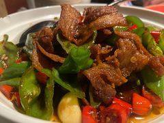 -初蓉丨遇见新川菜(亲贤街荣耀店)
