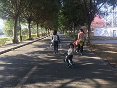 -风云岭森林公园