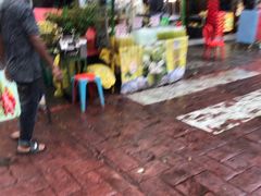 -都念榴莲·城市榴莲