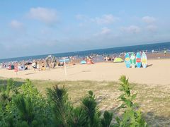 -日照海滨国家森林公园