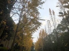 -重庆工商大学(南岸校区)