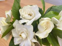 -鞠婆婆•绵绵冰•凉糕•手工冰粉(苏稽一店)