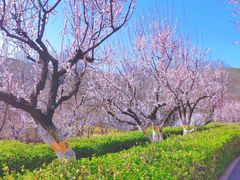 -北宫国家森林公园