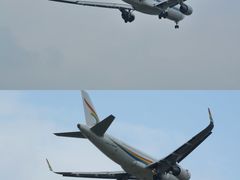 -空港花田景区