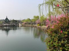 -无锡蠡湖国家湿地公园-蠡园
