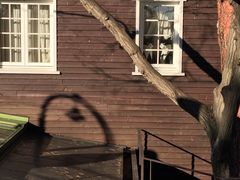 -三鹰之森吉卜力美术馆