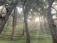 -七曲山风景区