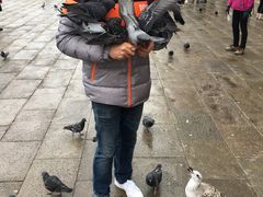 -圣马尔谷圣殿宗主教座堂