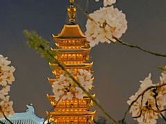 -常熟方塔园