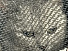 -瑞派康怡24h宠物医院·犬猫医疗中心·微创绝育(瑞景分院)