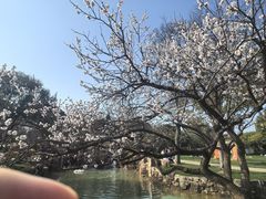 -无锡梅园公园
