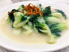 鲜竹浸菜苗-香港富临皇宫(五月花商业广场店)