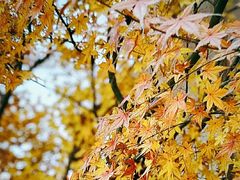 -南山风景名胜区