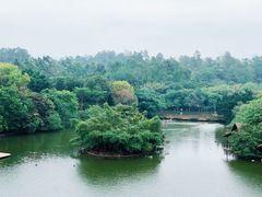 -广州长隆野生动物世界