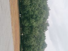 -南湖湿地公园