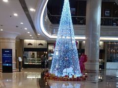 -北京广安门维景国际大酒店