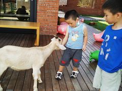 -太阳岛度假酒店