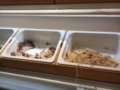 -许小树(国贸商城店)