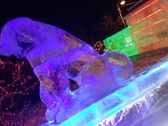 -长春公园(普阳街道)