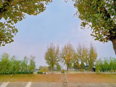 -汉长安城未央宫国家考古遗址公园