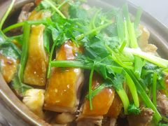 -上南瓦煲鸡·清远鸡·老字号(总店)