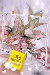-Four Seven·半永久纹眉