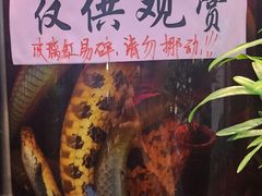 -大灶头·新昌菜(中国茶市店)