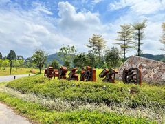 -水濂山森林公园